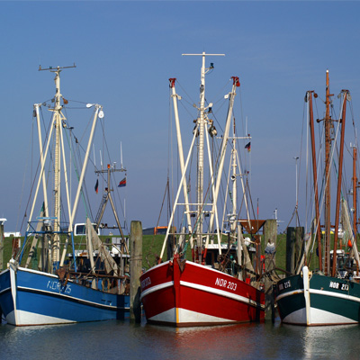 Ferienwohnung Diek in Norden Norddeich - Urlaub an der Nordsee