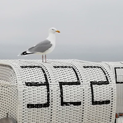 Ferienwohnung Diek in Norden Norddeich - Urlaub an der Nordsee